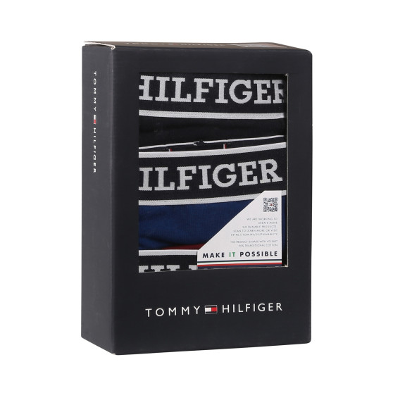 3PACK herenboxershort Tommy Hilfiger veelkleurig (UM0UM03185 0SX)