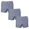 3PACK klassieke Herenboxershort Foltýn veelkleurig (3xK56)