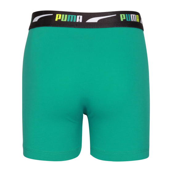 2PACK jongens boxershort Puma veelkleurig (701225792 001)