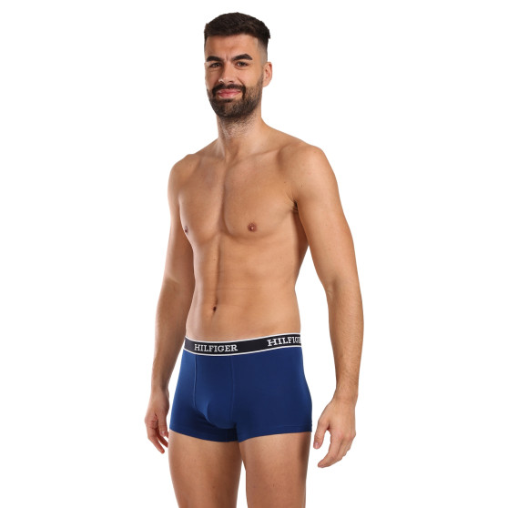 3PACK herenboxershort Tommy Hilfiger veelkleurig (UM0UM03185 0YZ)