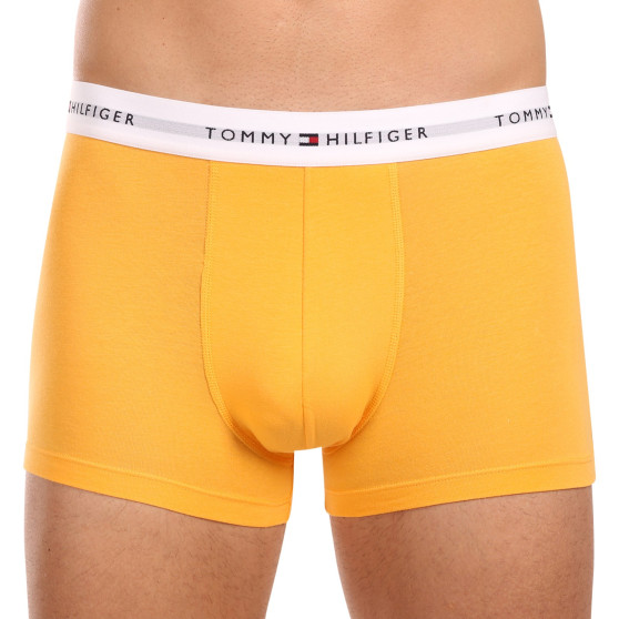 3PACK herenboxershort Tommy Hilfiger veelkleurig (UM0UM02761 0VI)