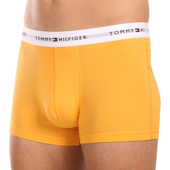 3PACK herenboxershort Tommy Hilfiger veelkleurig (UM0UM02761 0VI)