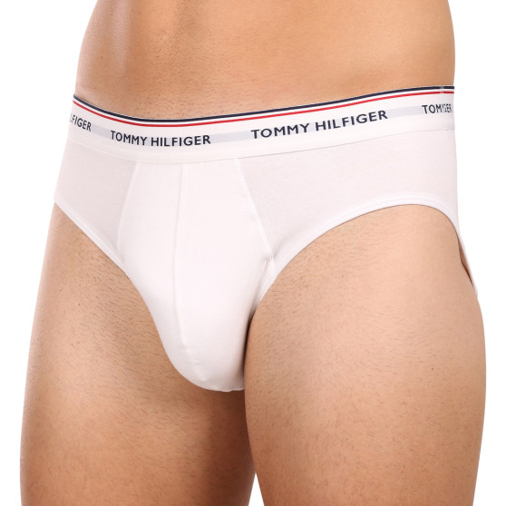 3PACK herenslip Tommy Hilfiger veelkleurig (1U87903766 004)