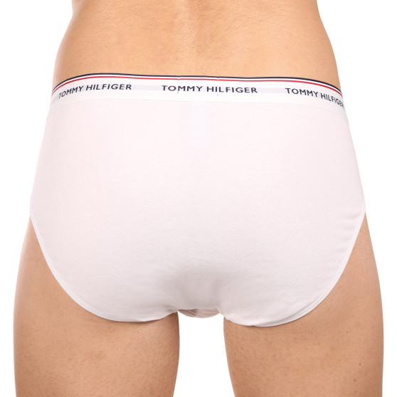 3PACK herenslip Tommy Hilfiger veelkleurig (1U87903766 004)