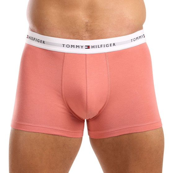 3PACK herenboxershort Tommy Hilfiger veelkleurig (UM0UM02761 0XM)