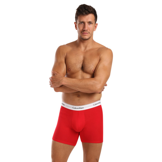 3PACK herenboxershort Calvin Klein veelkleurig (NB2381A-N2I)