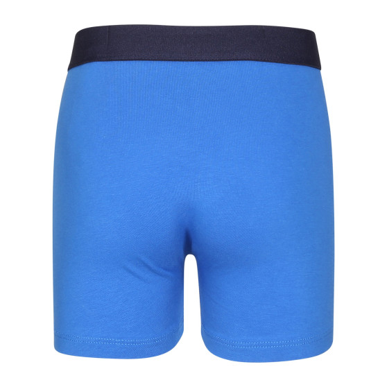 2PACK jongens boxershort Puma veelkleurig (701225791 002)