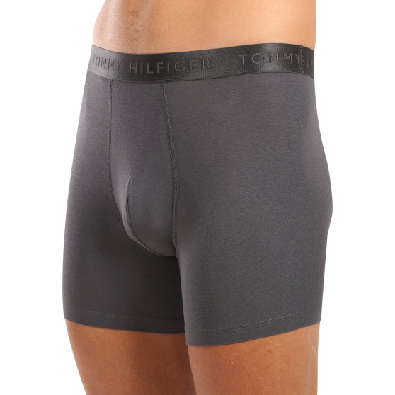 3PACK herenboxershort Tommy Hilfiger veelkleurig (UM0UM03393 0XX)